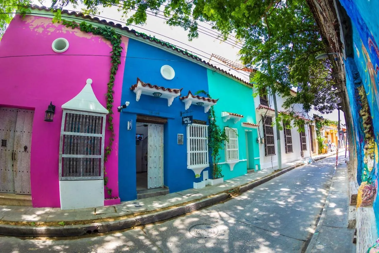 Casa Noir